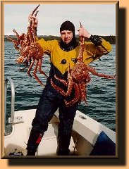 King Crab