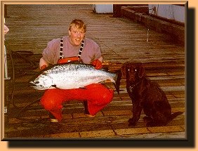 Nice King Salmon!